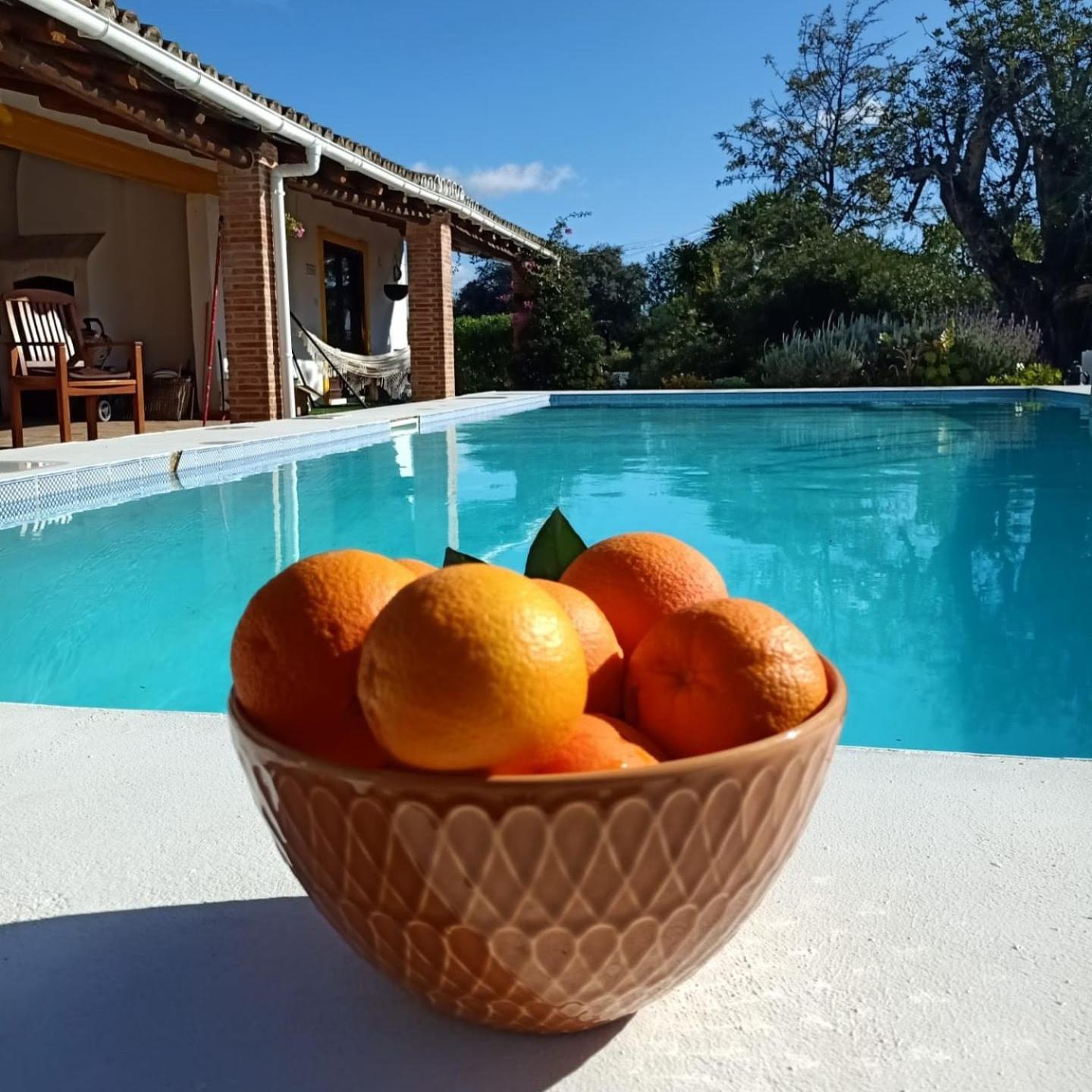 La Quinta Casa Com Piscina Privada Villa Loule Exterior photo